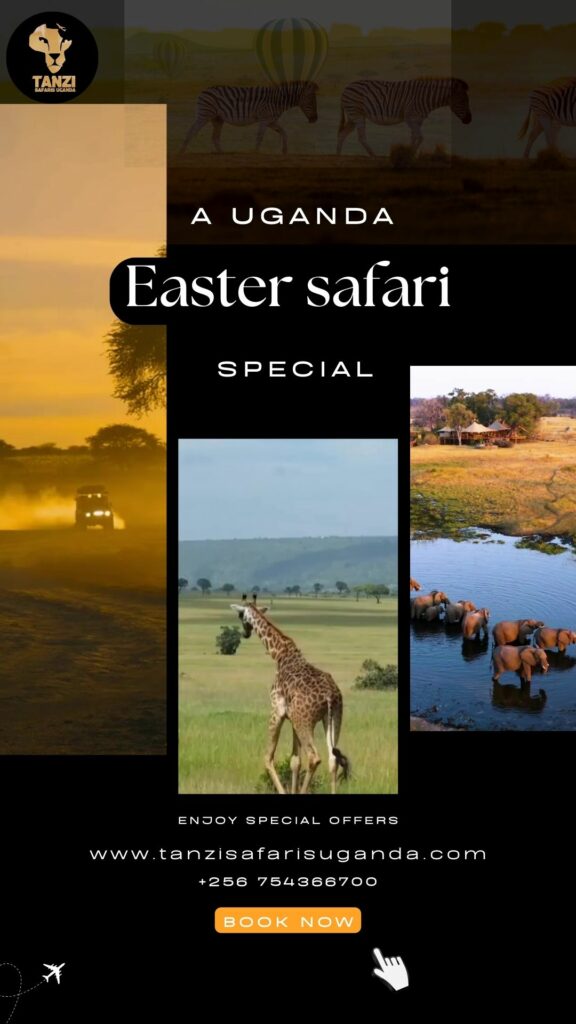 Uganda Easter safari packages